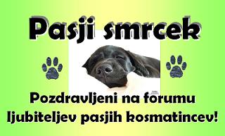 Pasji smrek Seznam forumov